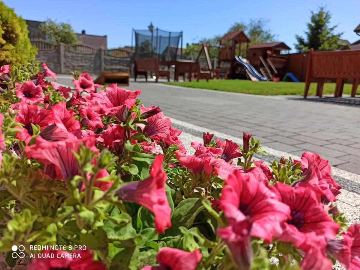 Domki Letniskowe U Doroty Władysławowo Exterior foto
